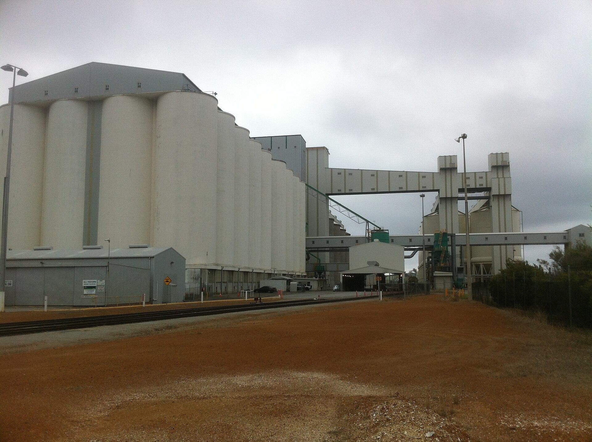 Concrete grain silos and conveyor gantries at a port terminal under an overcast sky.